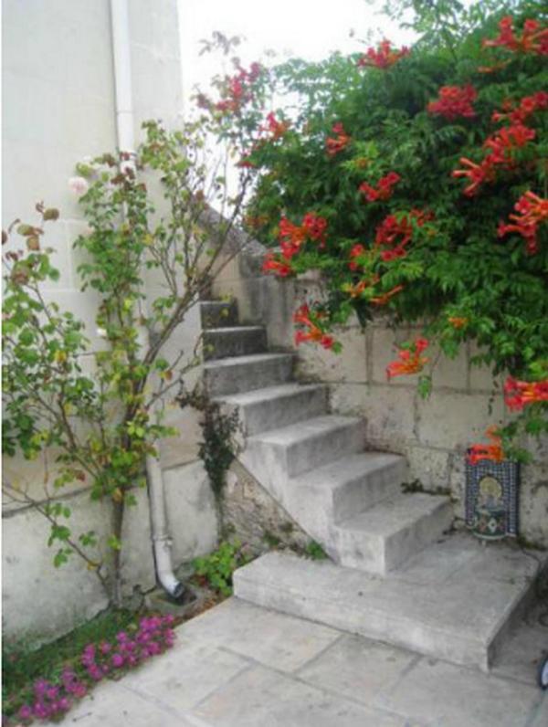 Le Clos De La Chapelle - Gite Les Glycines La Chapelle-sur-Loire Exterior foto