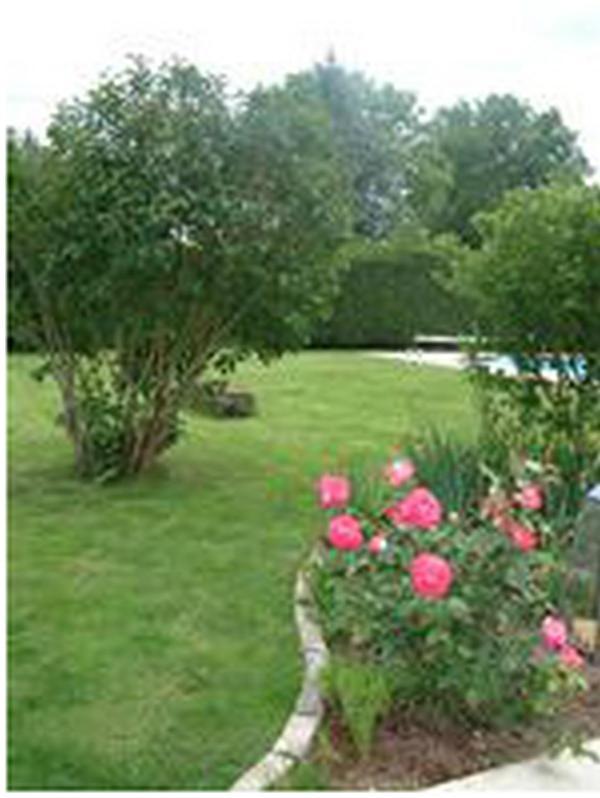 Le Clos De La Chapelle - Gite Les Glycines La Chapelle-sur-Loire Exterior foto